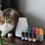 Aceites Esenciales Freemet 5ml