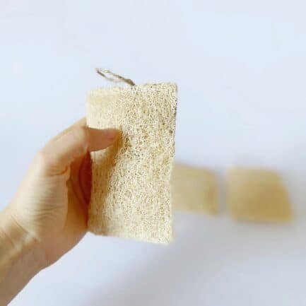 esponja biodegradable de luffa