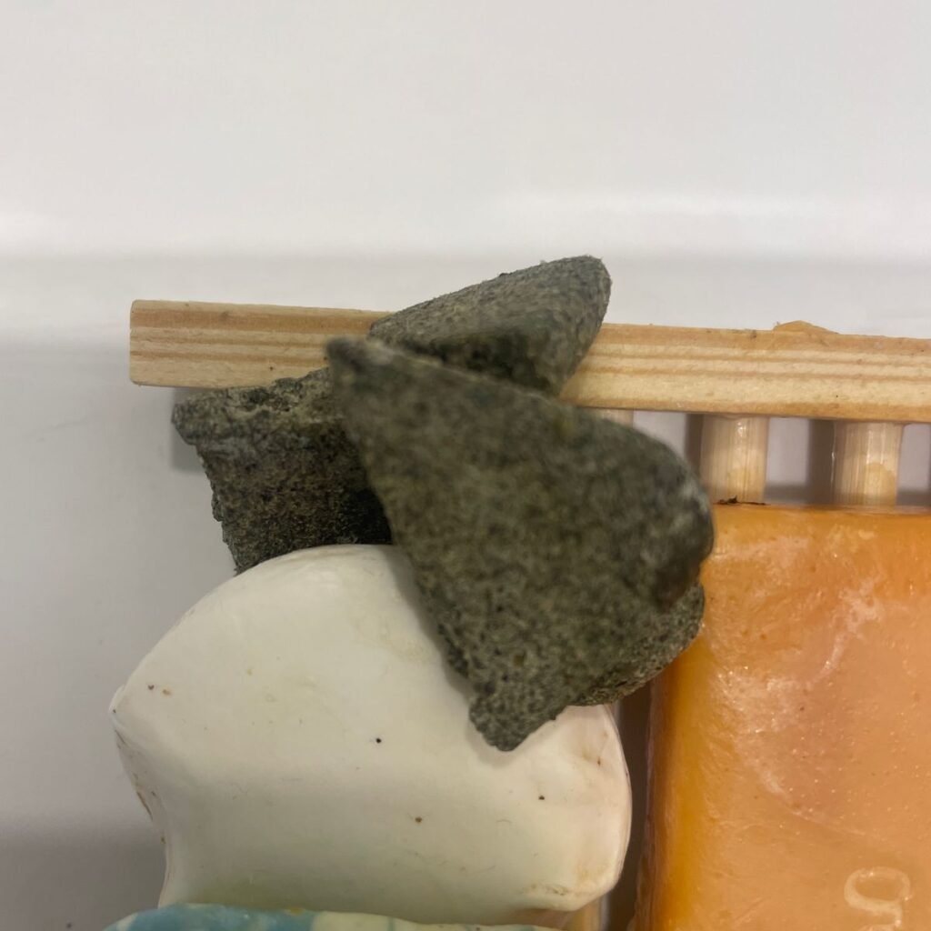 Imagen #1 de Magdalena