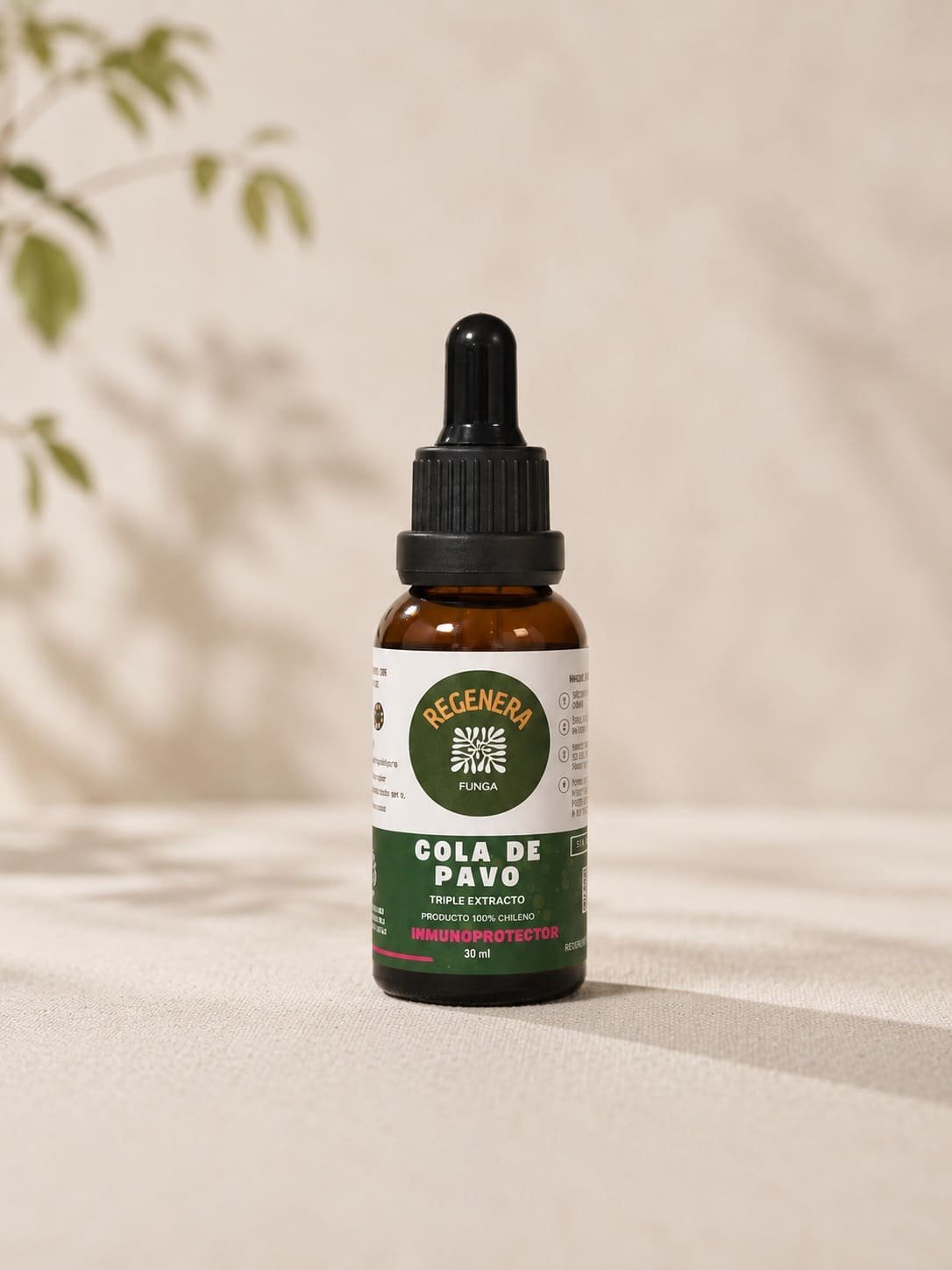 Hongo Cola de Pavo Resfríos Gripes Hongo adaptogeno inmunoprotector