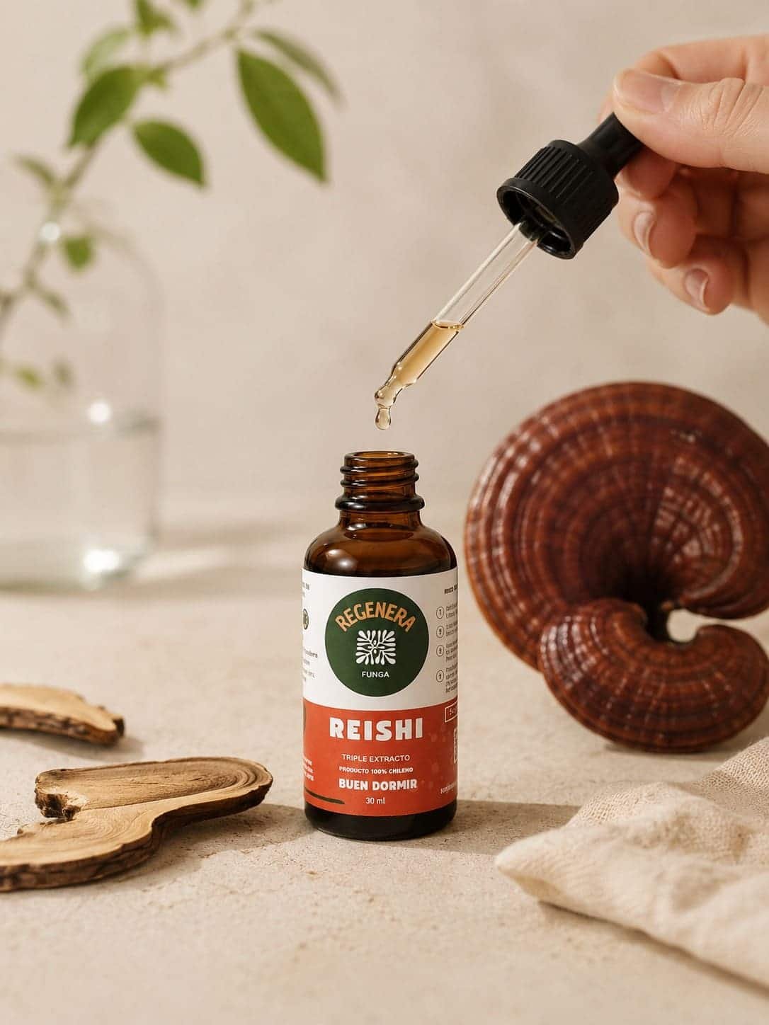 Hongo Reishi Insomnio Hongo adaptogeno Estres